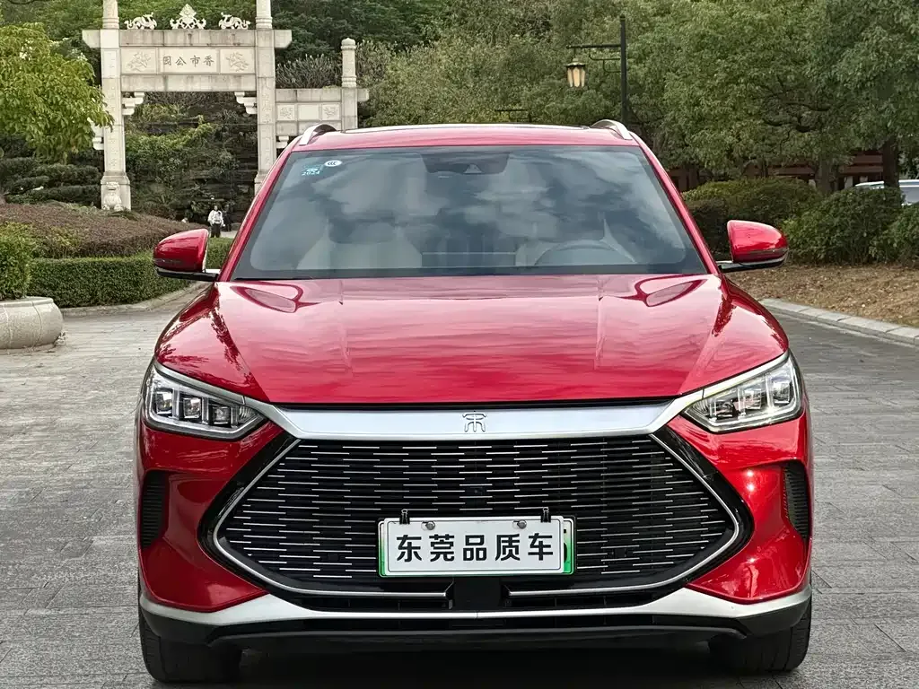 BYD PLUS New Energy 2022 из CN, фото 2