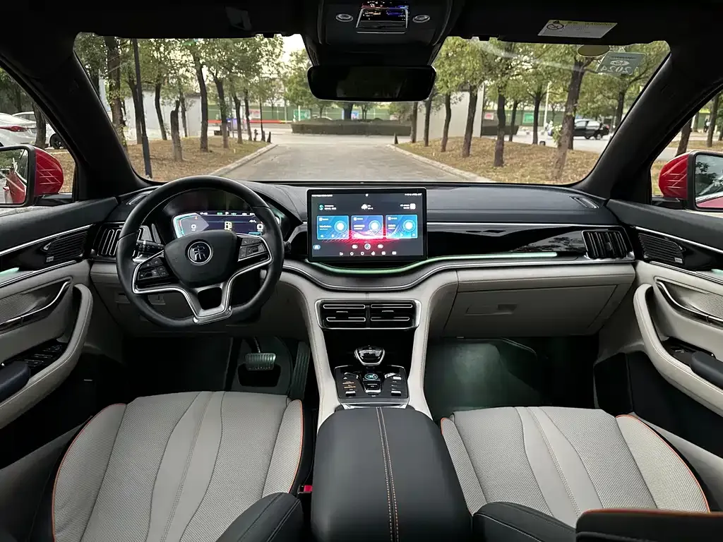 BYD PLUS New Energy 2022 из CN, фото 4
