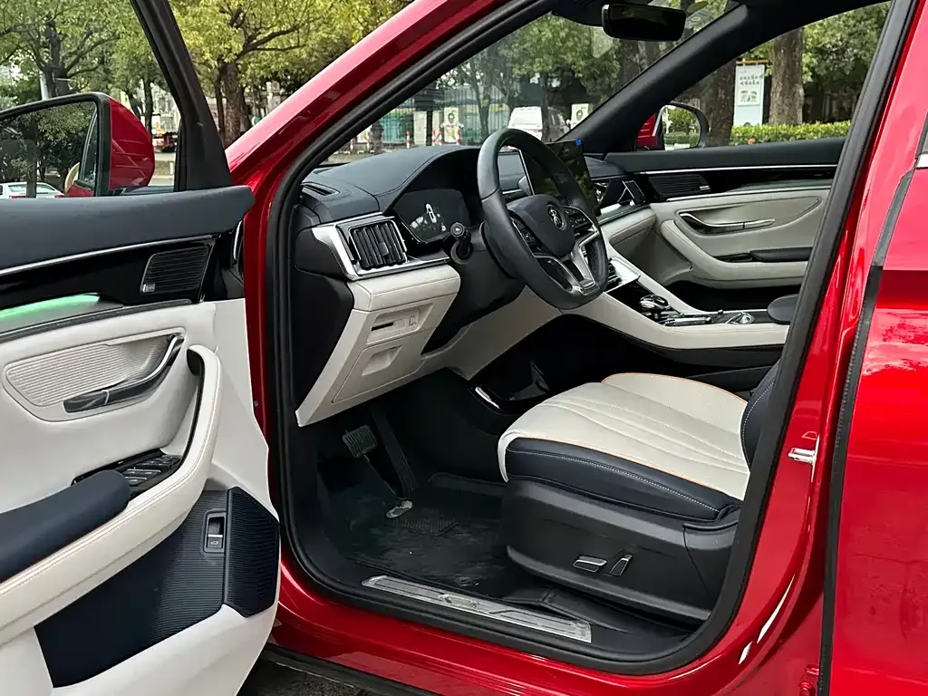 BYD PLUS New Energy 2022 из CN, фото 5