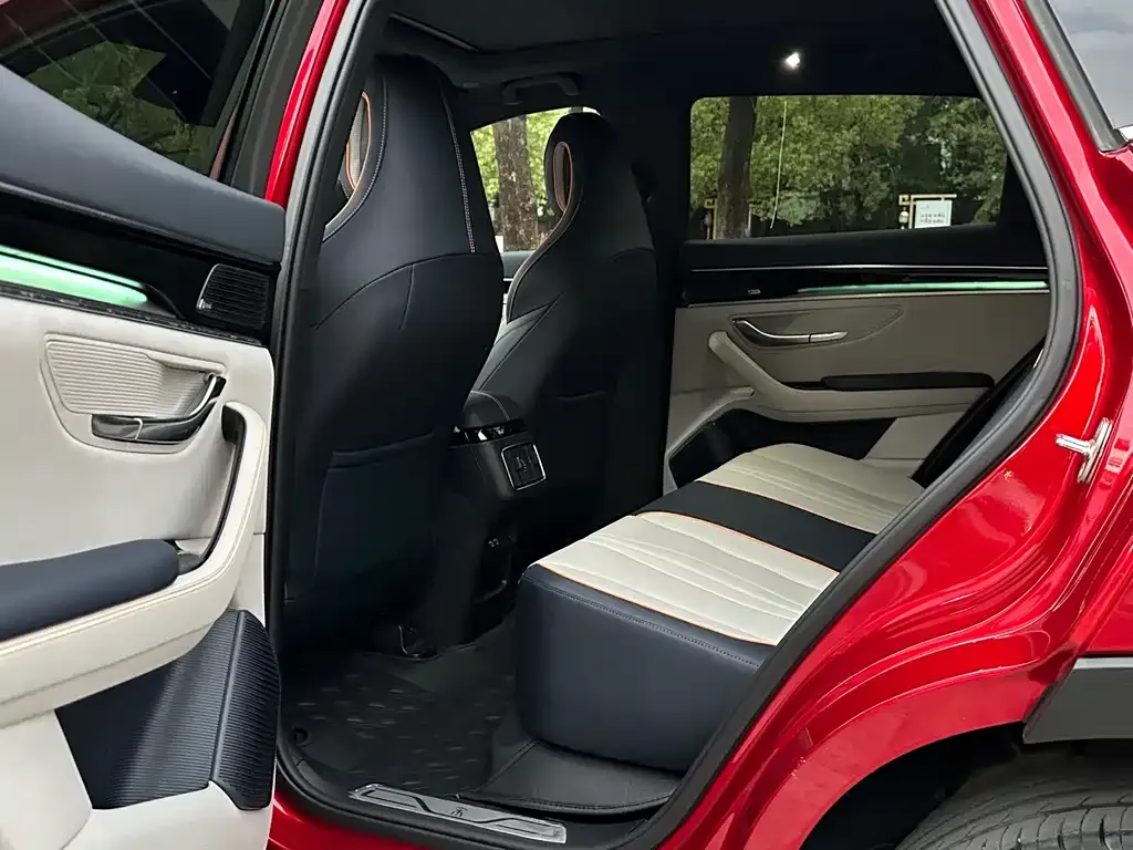 BYD PLUS New Energy 2022 из CN, фото 6