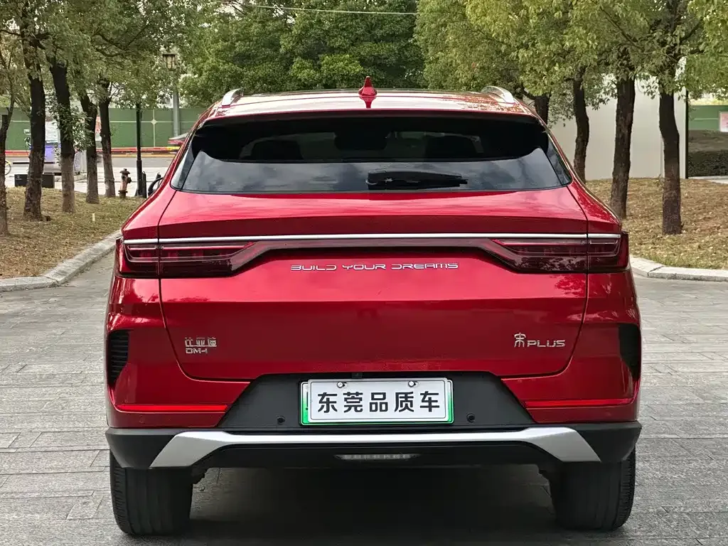 BYD PLUS New Energy 2022 из CN, фото 8