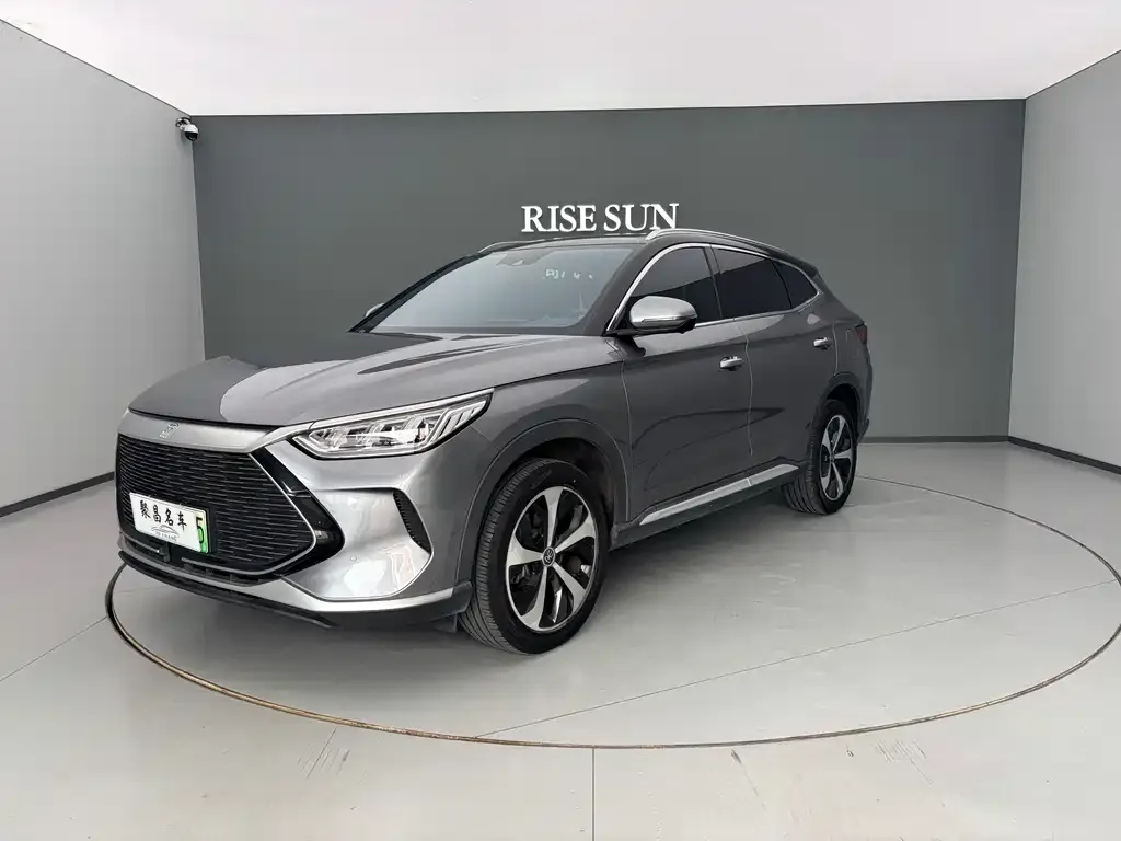 BYD PLUS New Energy 2022 из CN, фото 1