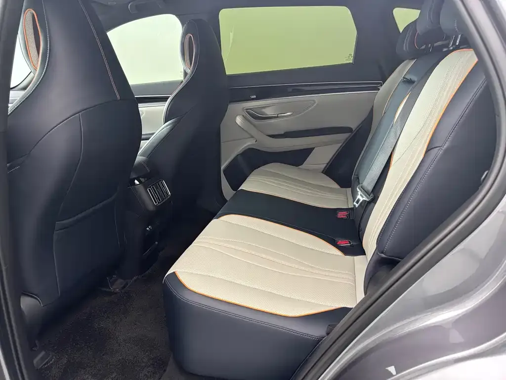 BYD PLUS New Energy 2022 из CN, фото 10