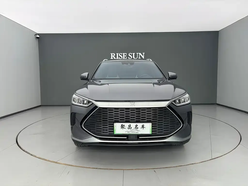 BYD PLUS New Energy 2022 из CN, фото 2