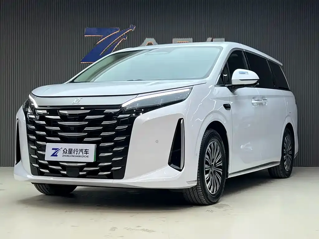 BYD Xia 2025 из CN, фото 1
