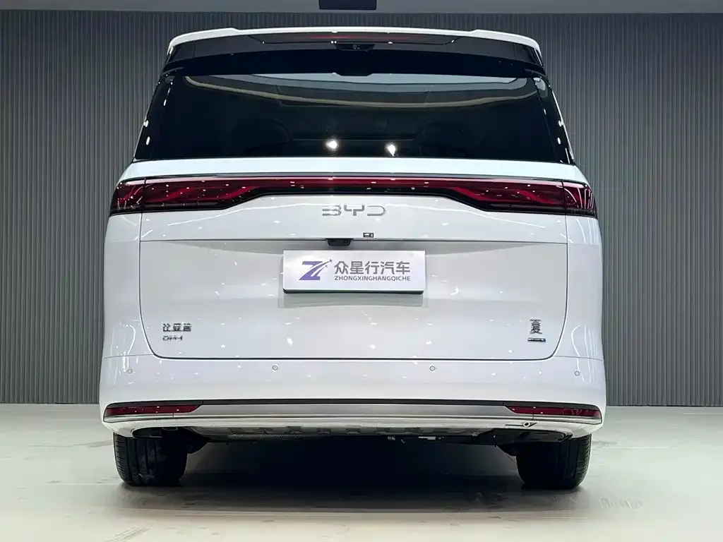 BYD Xia 2025 из CN, фото 4