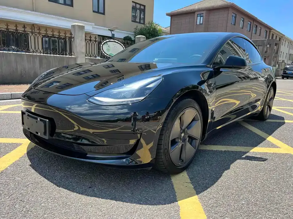 Tesla Model 3 2021 из CN, фото 1