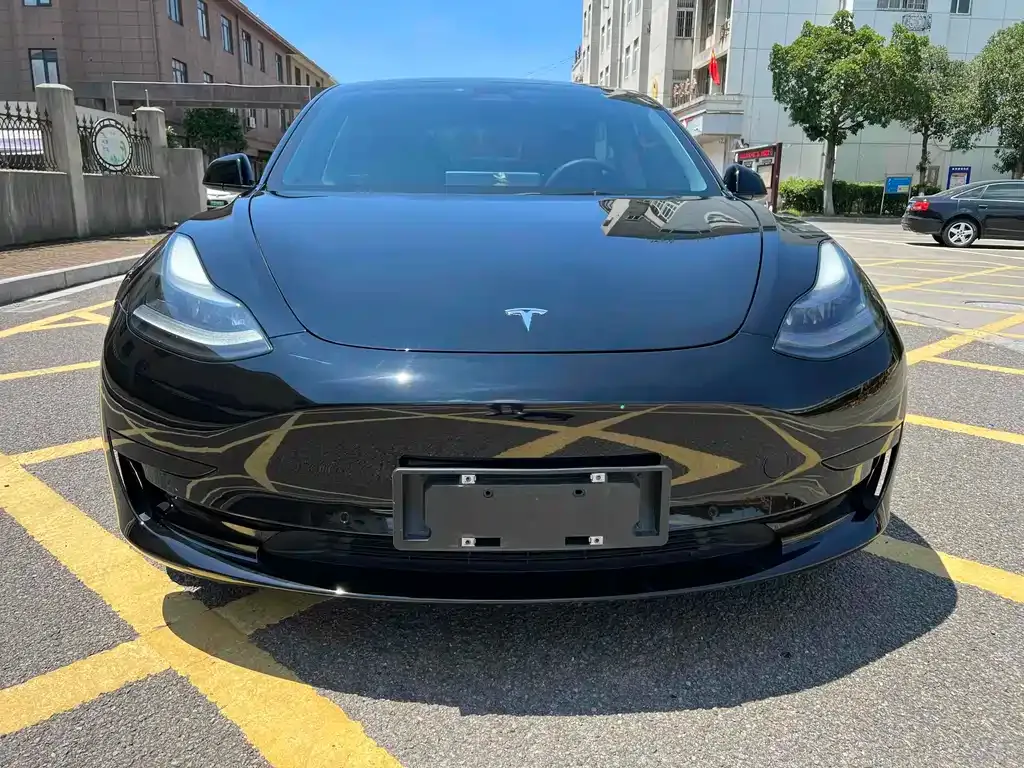Tesla Model 3 2021 из CN, фото 2
