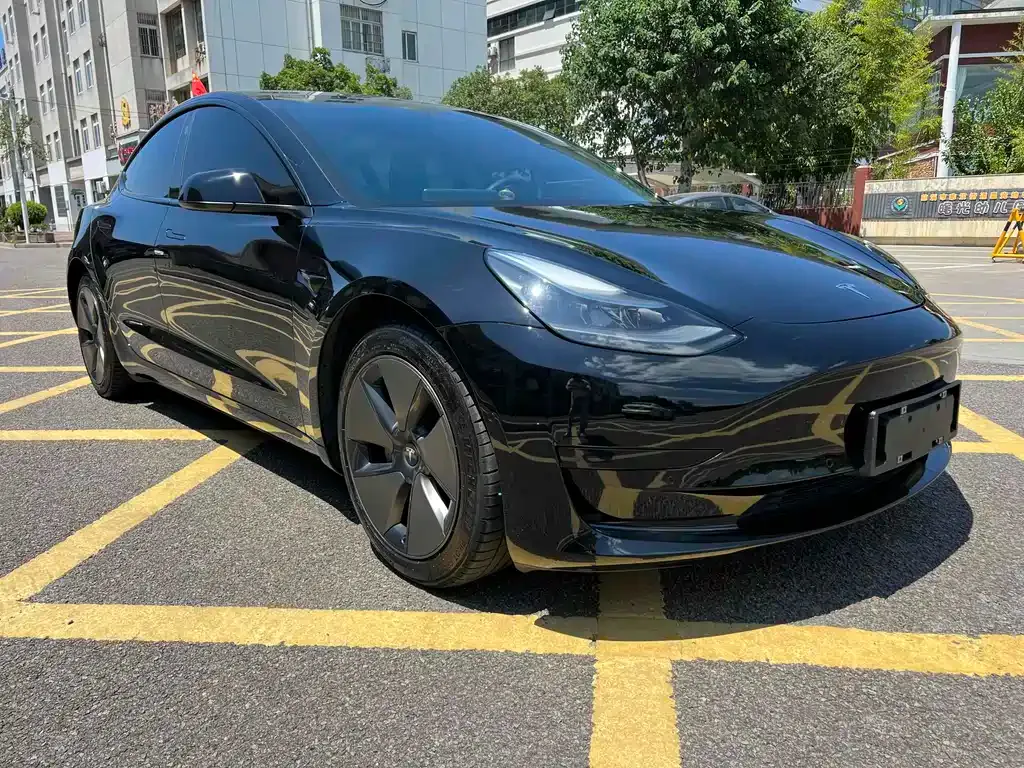 Tesla Model 3 2021 из CN, фото 3
