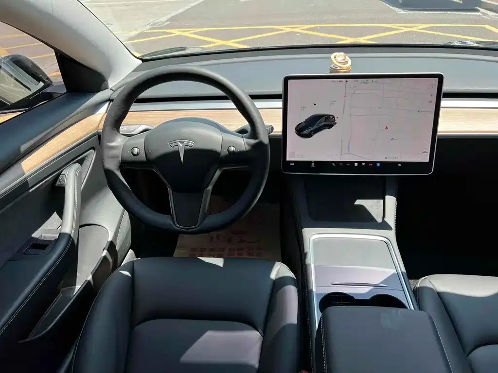 Tesla Model 3 2021 из CN, фото 4
