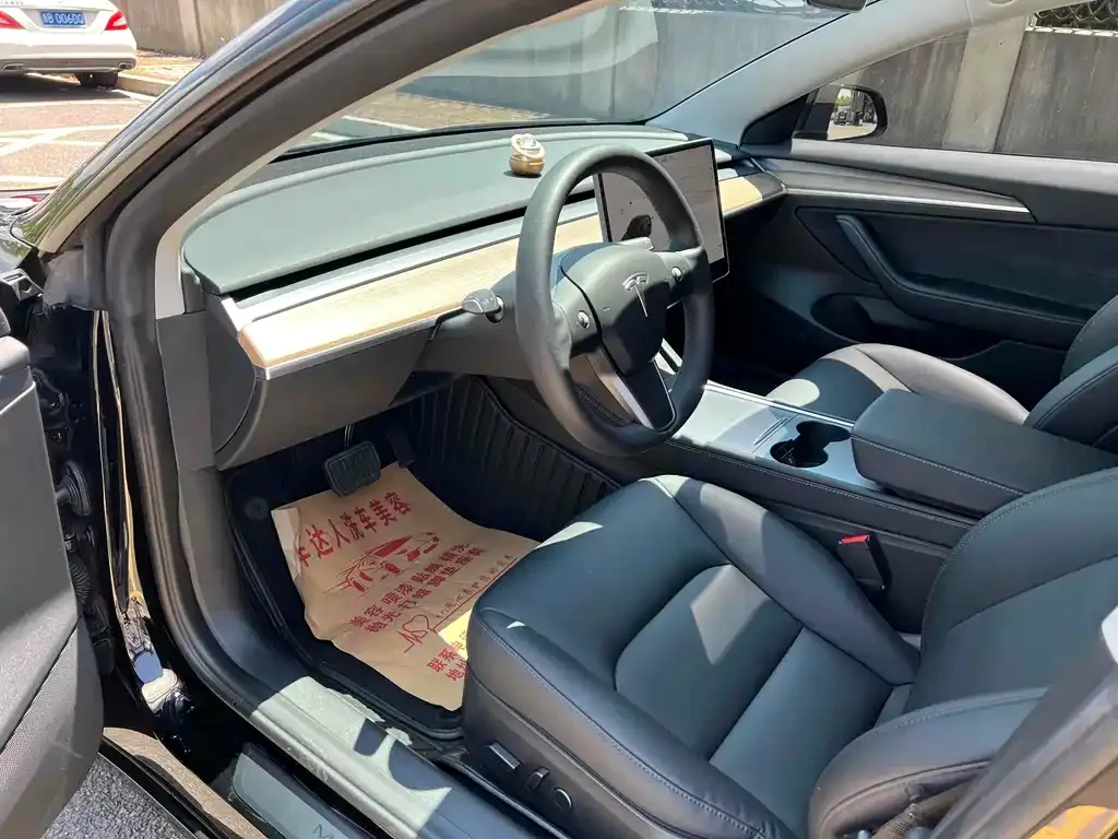 Tesla Model 3 2021 из CN, фото 5
