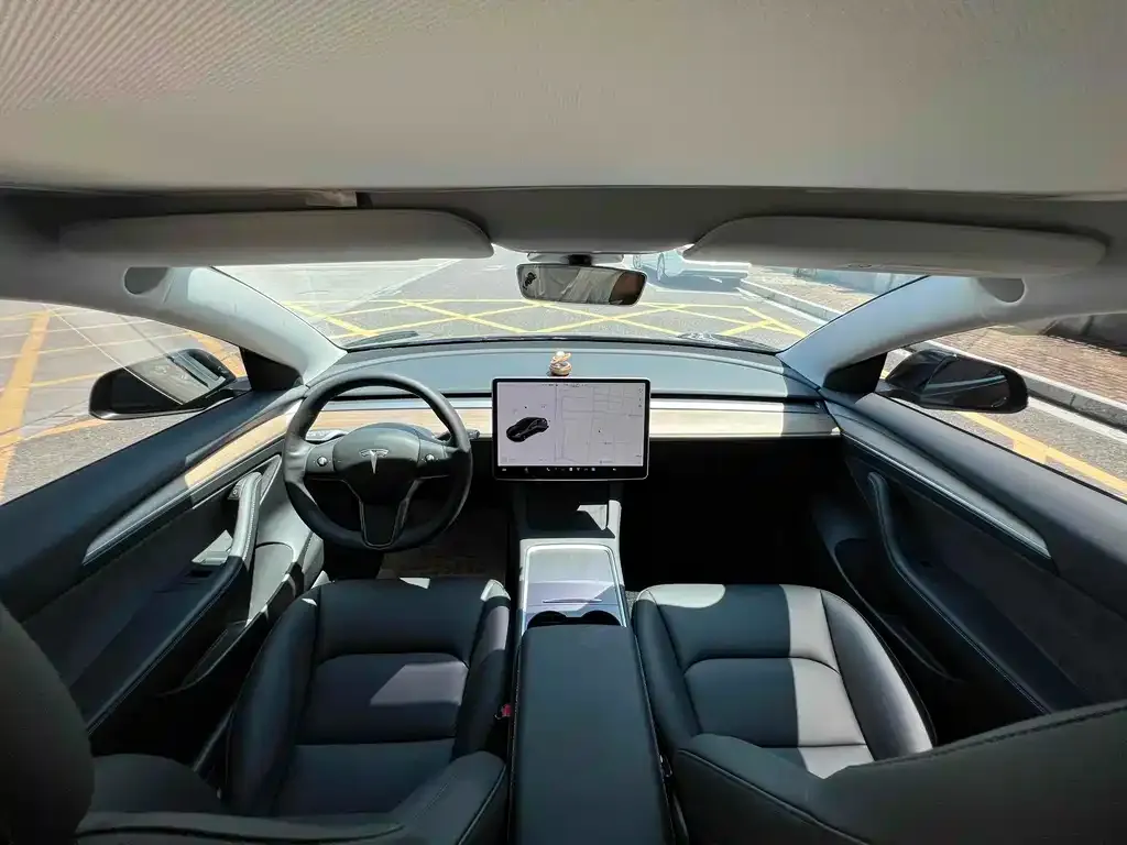 Tesla Model 3 2021 из CN, фото 6