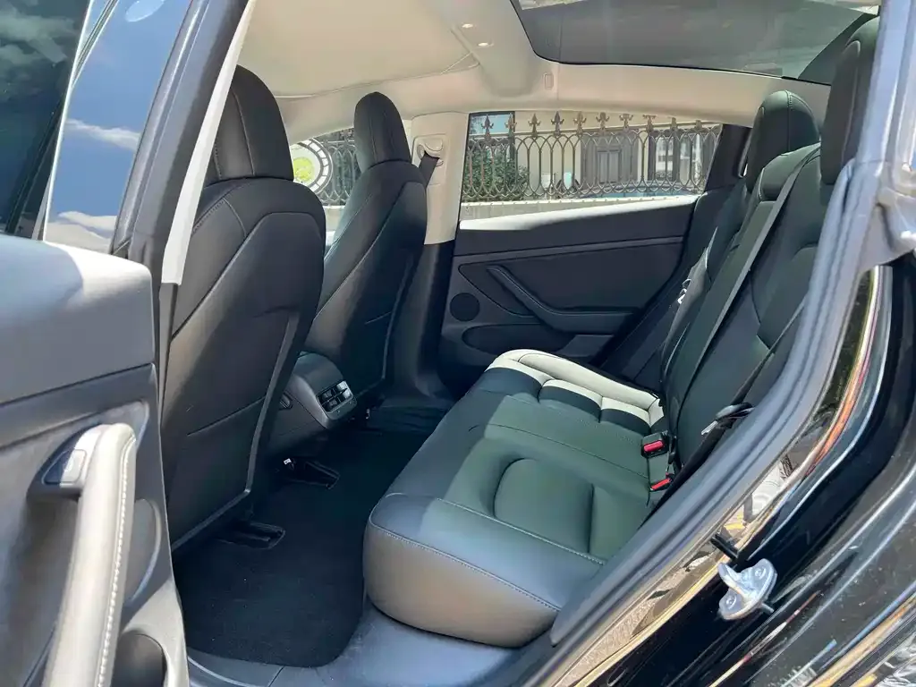 Tesla Model 3 2021 из CN, фото 7