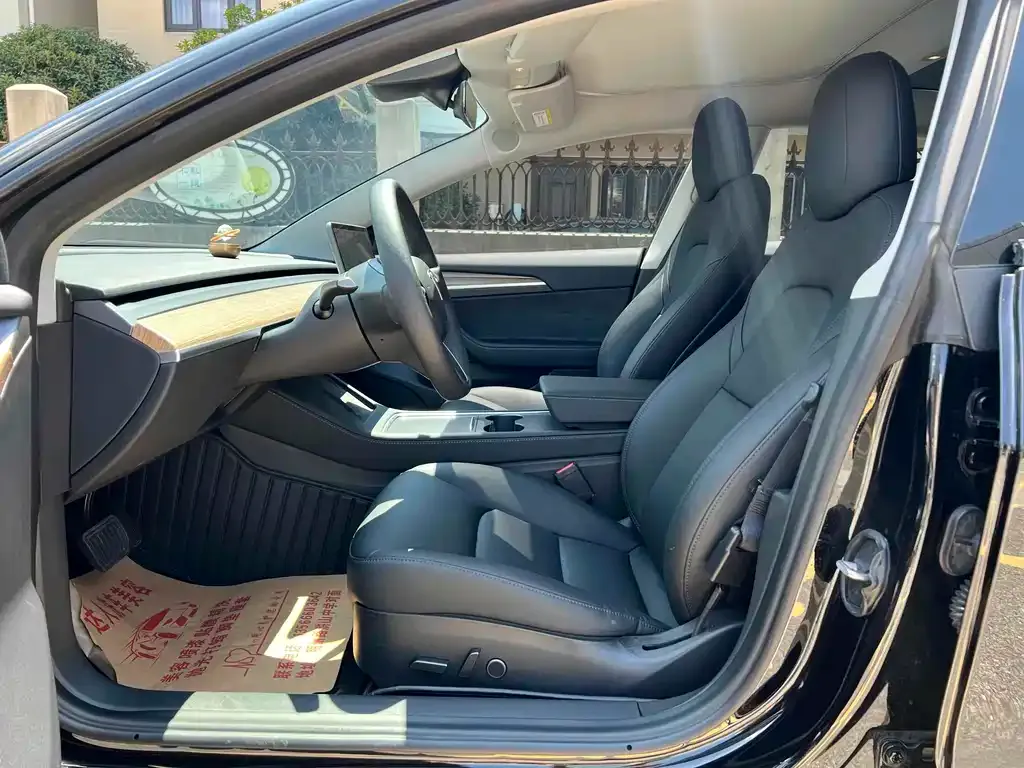 Tesla Model 3 2021 из CN, фото 8