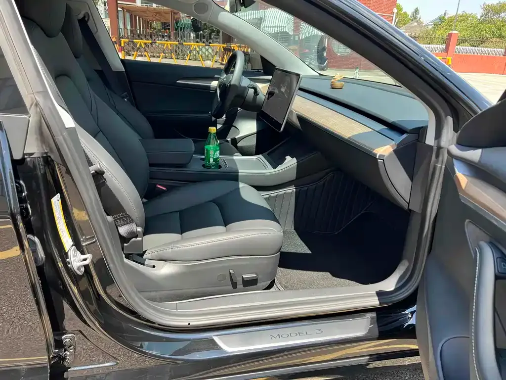 Tesla Model 3 2021 из CN, фото 9