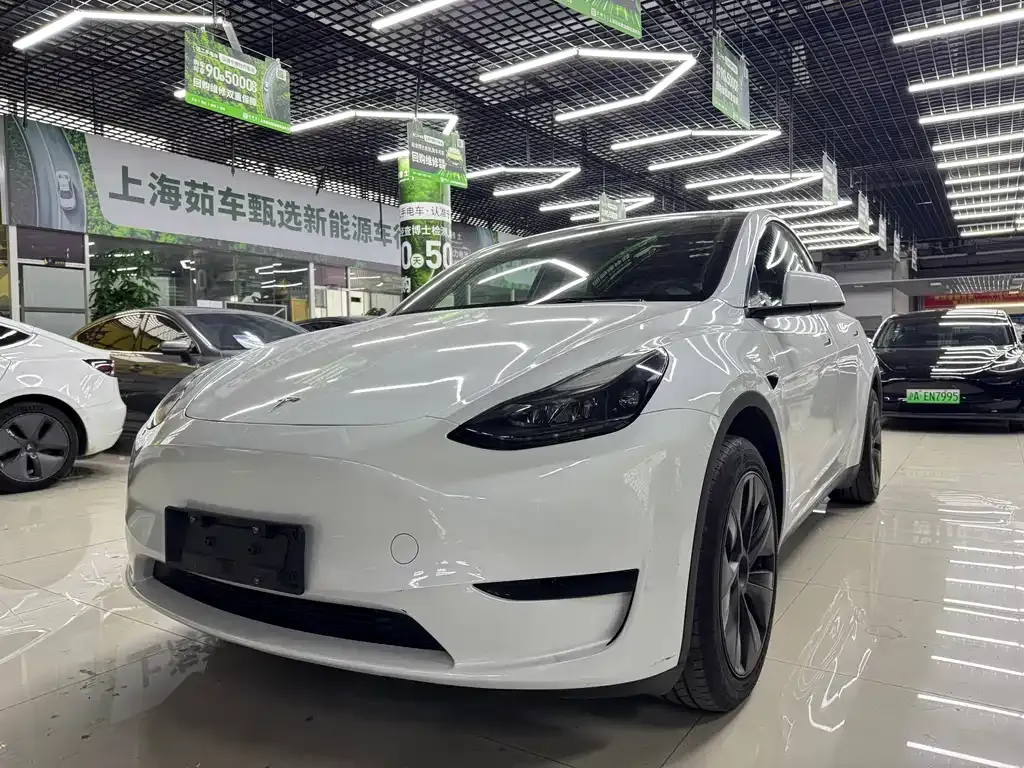 Tesla Model Y 2024 из CN, фото 1