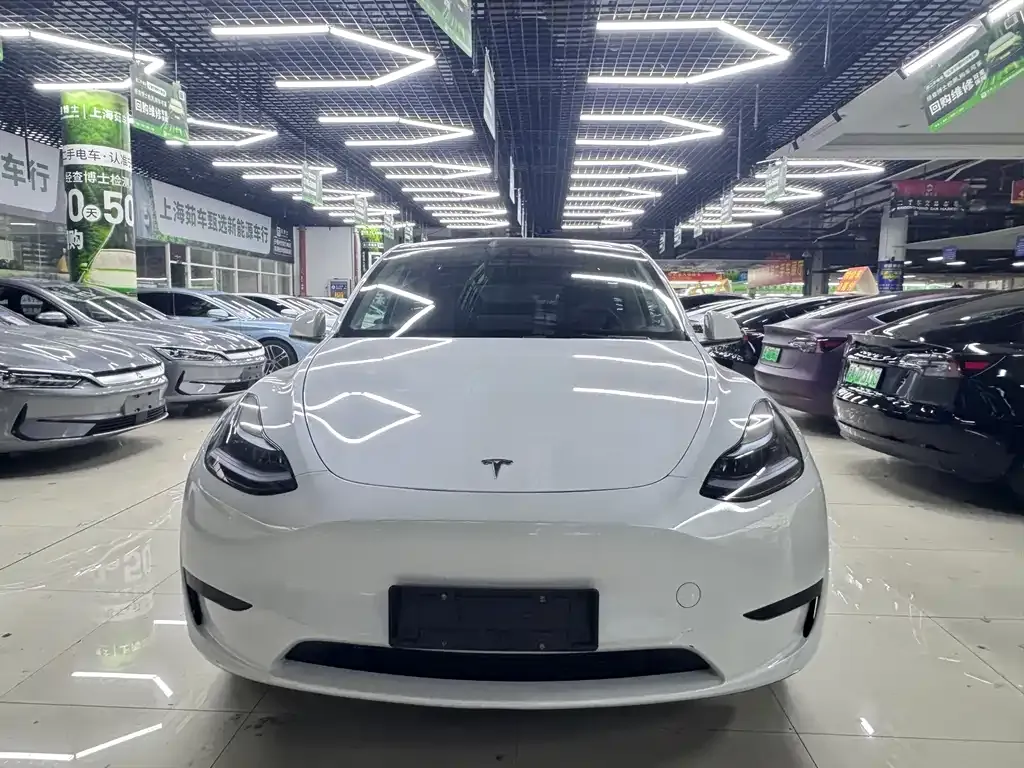 Tesla Model Y 2024 из CN, фото 2