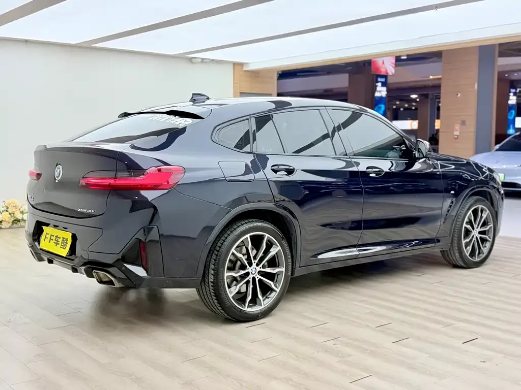 BMW X4 2022 из CN, фото 7