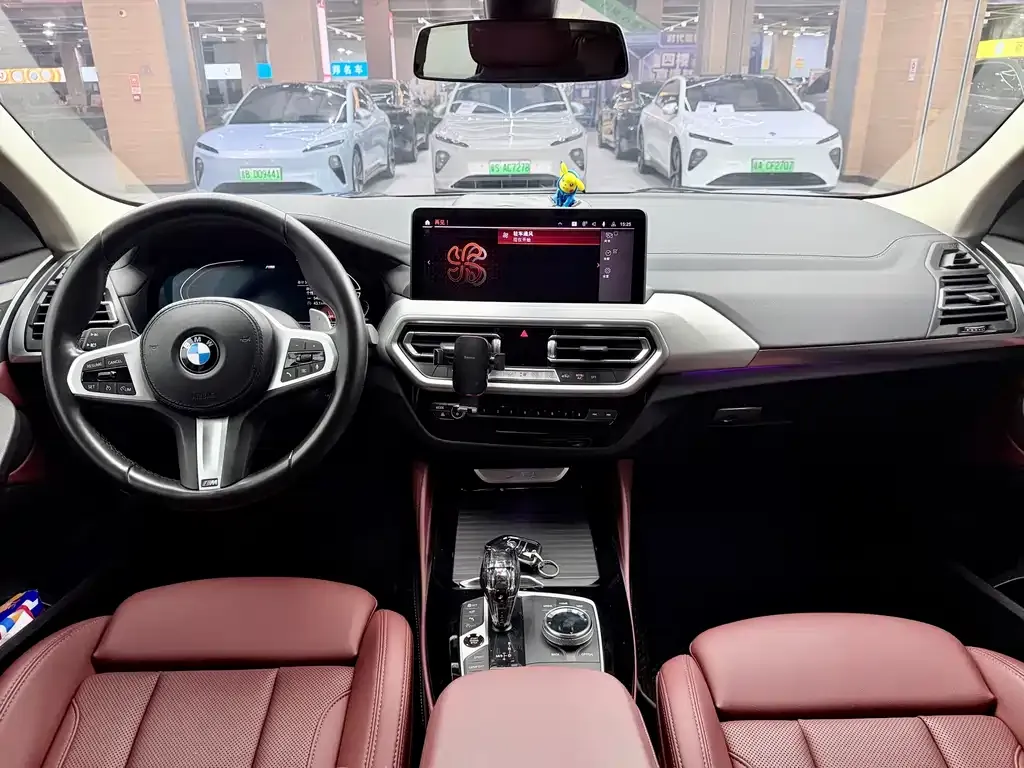 BMW X4 2022 из CN, фото 8