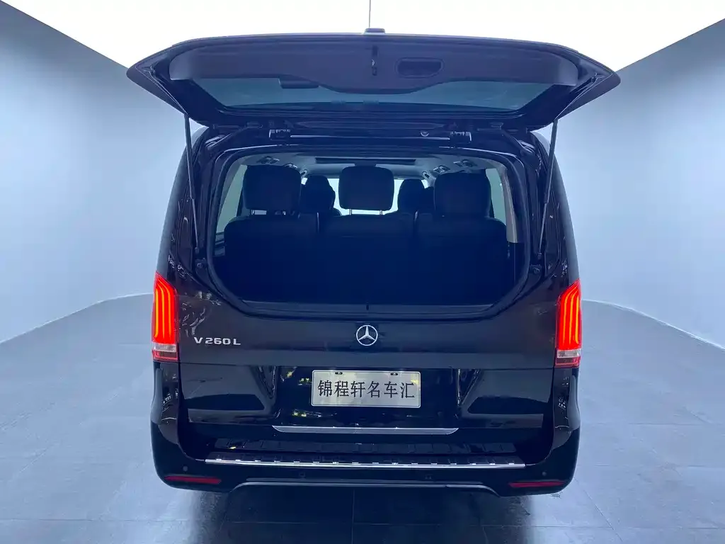Mercedes-Benz V-Class 2021 из CN, фото 6