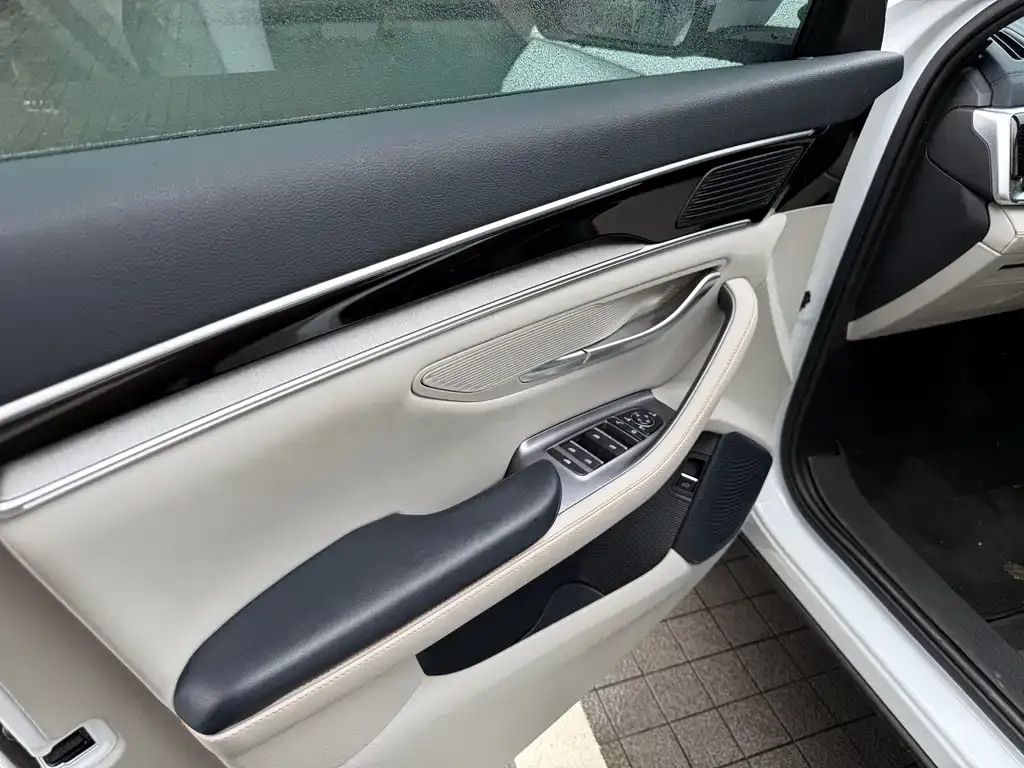 BYD PLUS New Energy — фото 10