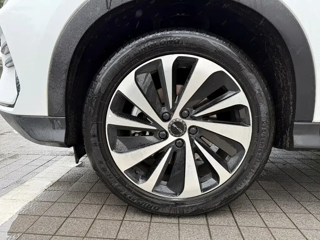 BYD PLUS New Energy — фото 9