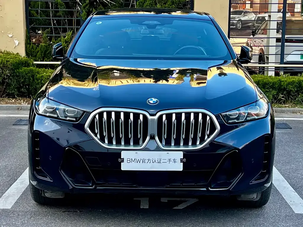BMW X6 2024 из CN, фото 3