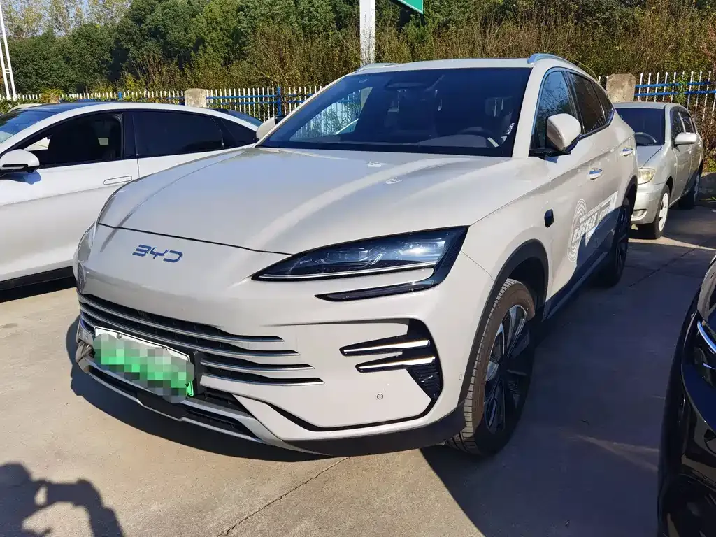 BYD PLUS New Energy 2025 из CN, фото 1