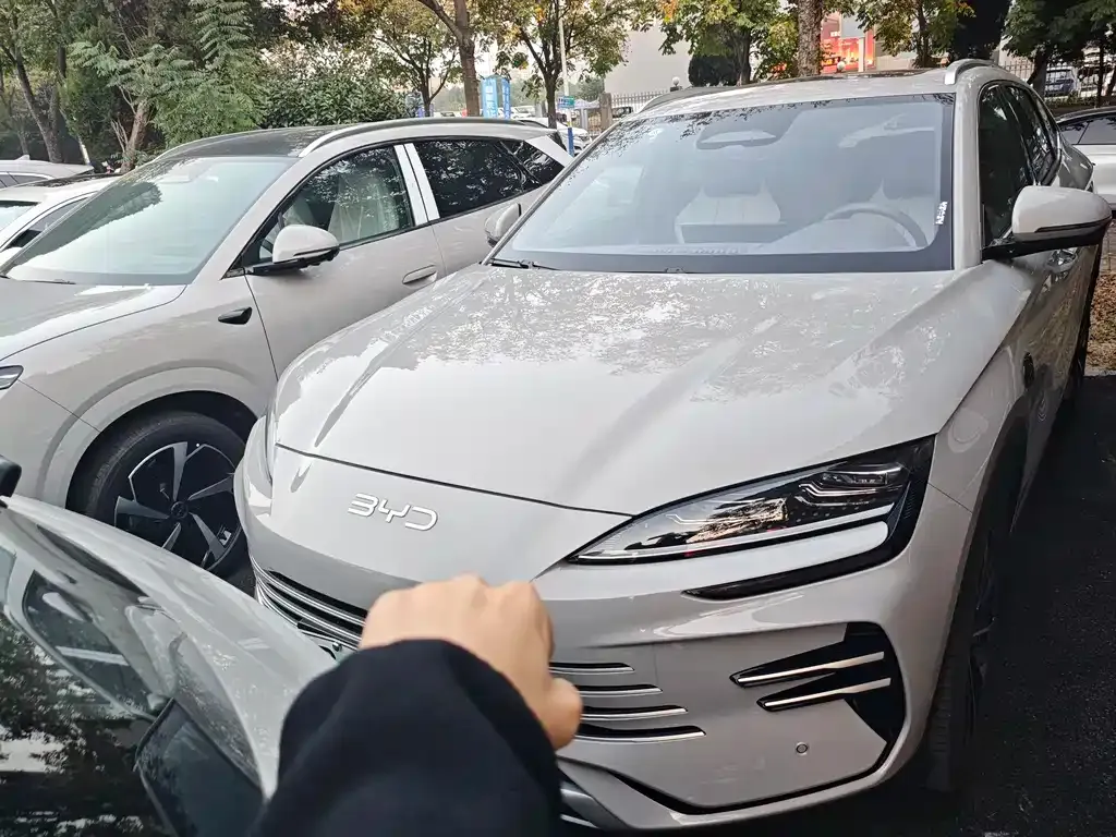 BYD PLUS New Energy 2025 из CN, фото 3