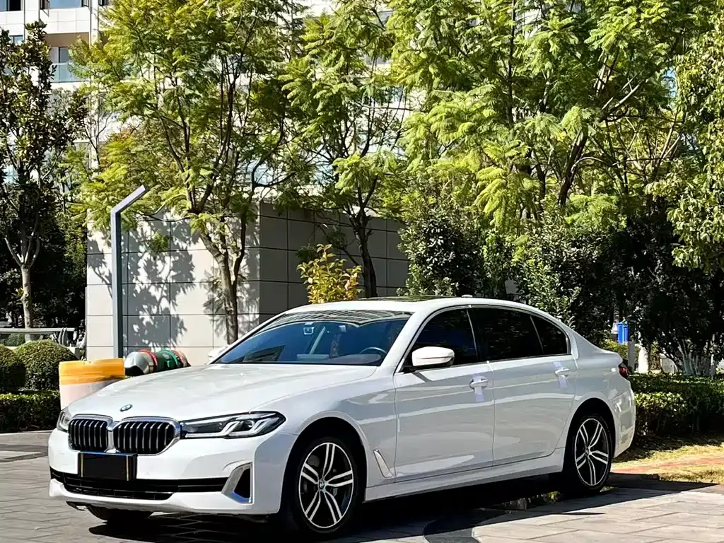 BMW 5 Series 2021 из CN, фото 1