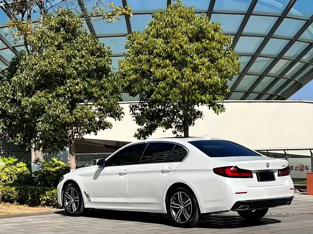 BMW 5 Series 2021 из CN, фото 10