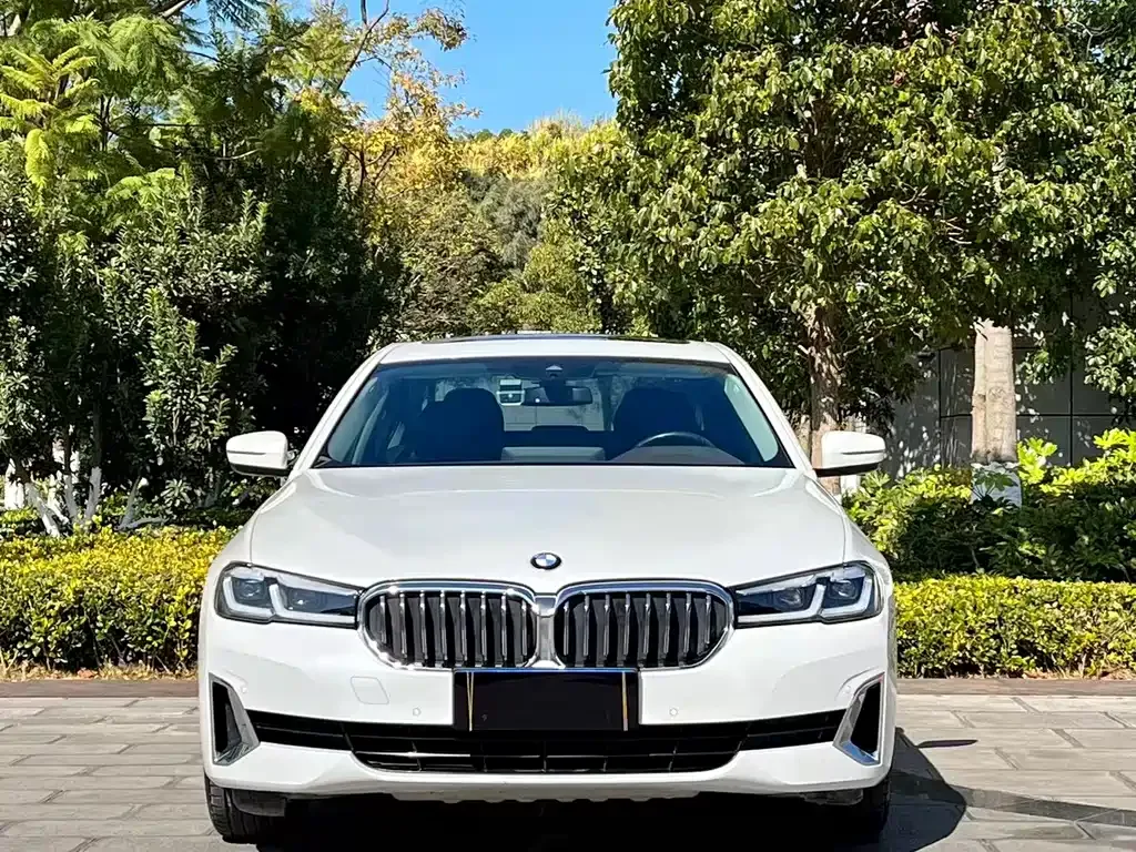 BMW 5 Series 2021 из CN, фото 2