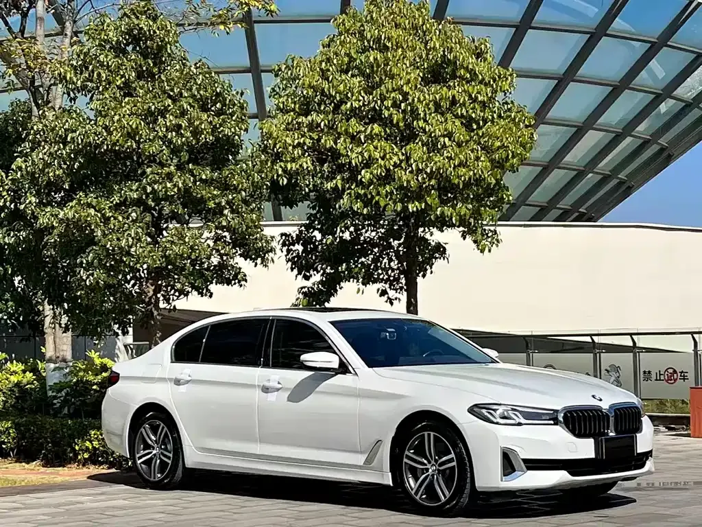 BMW 5 Series 2021 из CN, фото 3