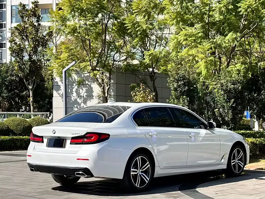 BMW 5 Series 2021 из CN, фото 8