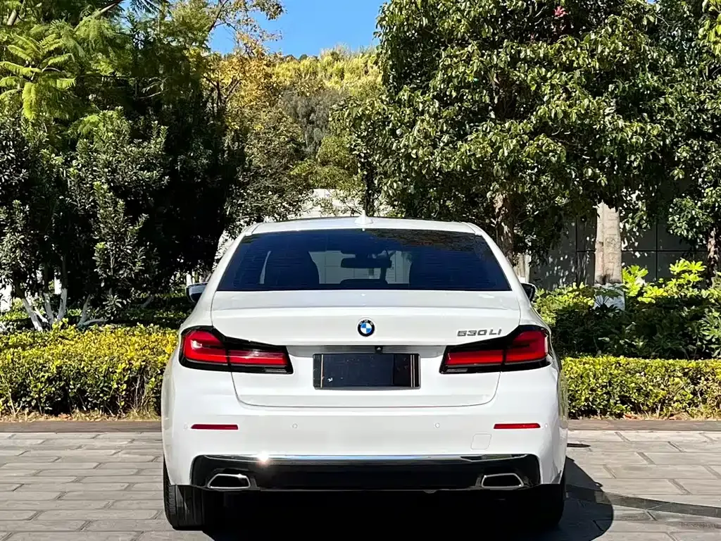 BMW 5 Series 2021 из CN, фото 9