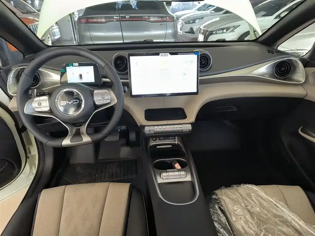BYD Dolphin 2025 из CN, фото 10
