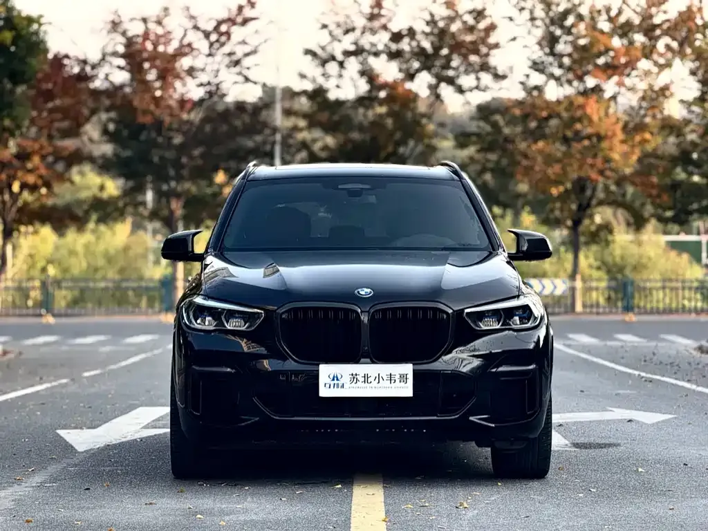BMW X5 2023 из CN, фото 1