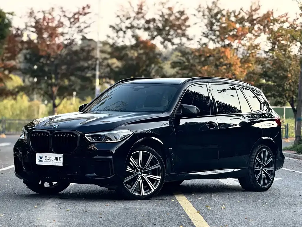 BMW X5 2023 из CN, фото 2