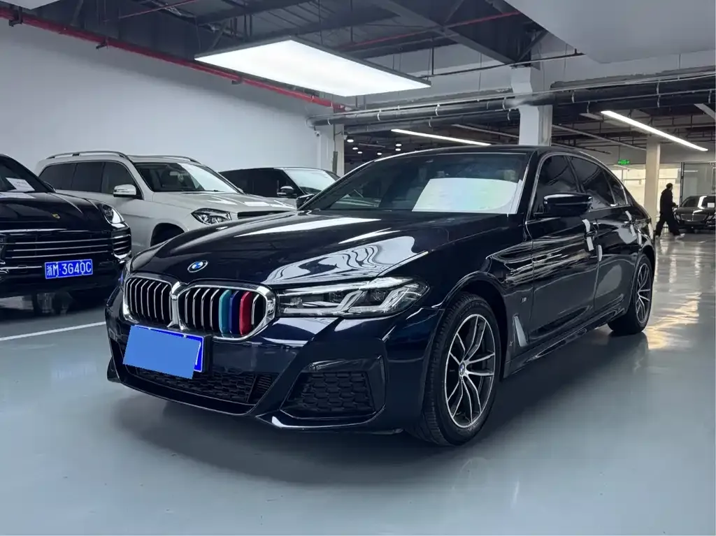 BMW 5 Series 2021 из CN, фото 1
