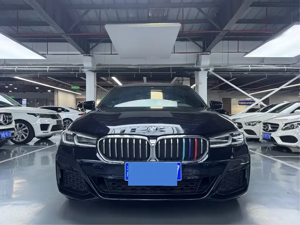 BMW 5 Series 2021 из CN, фото 2