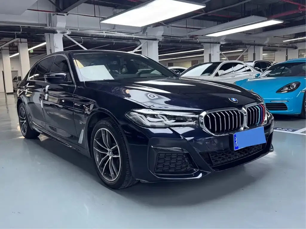 BMW 5 Series 2021 из CN, фото 3