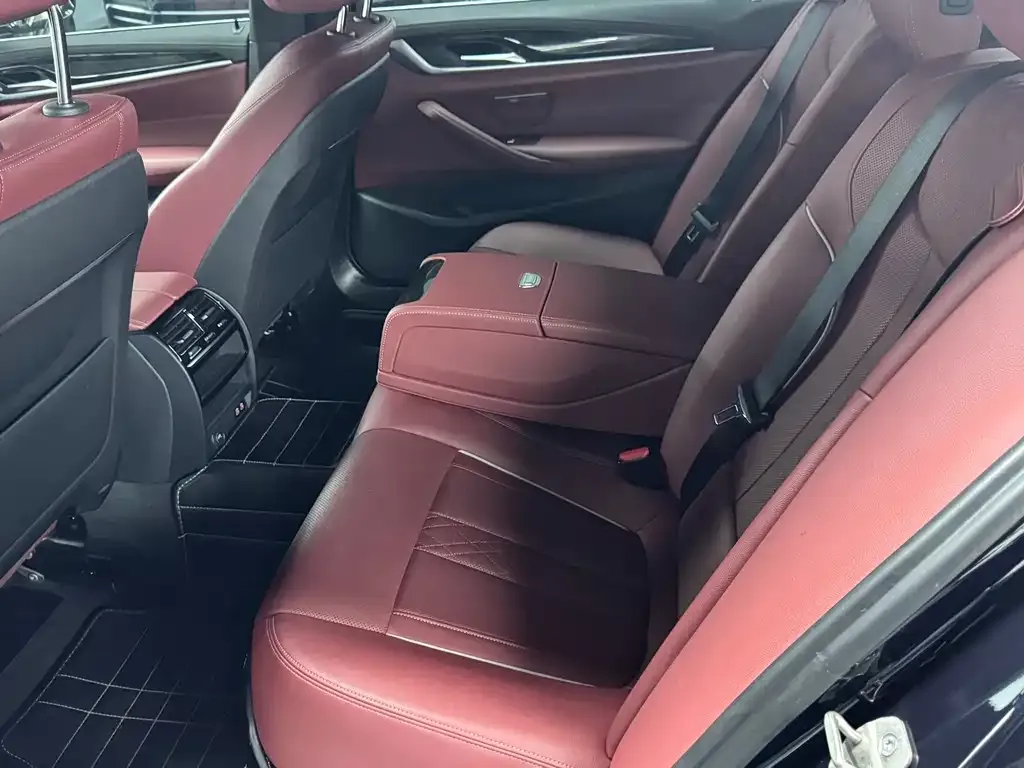 BMW 5 Series 2021 из CN, фото 6