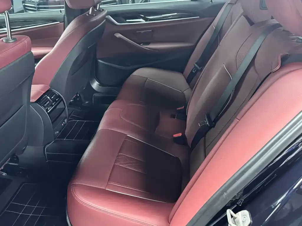 BMW 5 Series 2021 из CN, фото 7