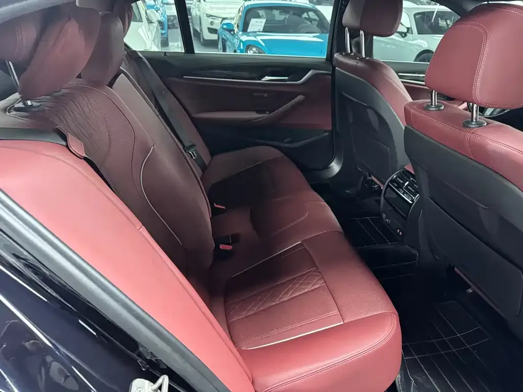 BMW 5 Series 2021 из CN, фото 9