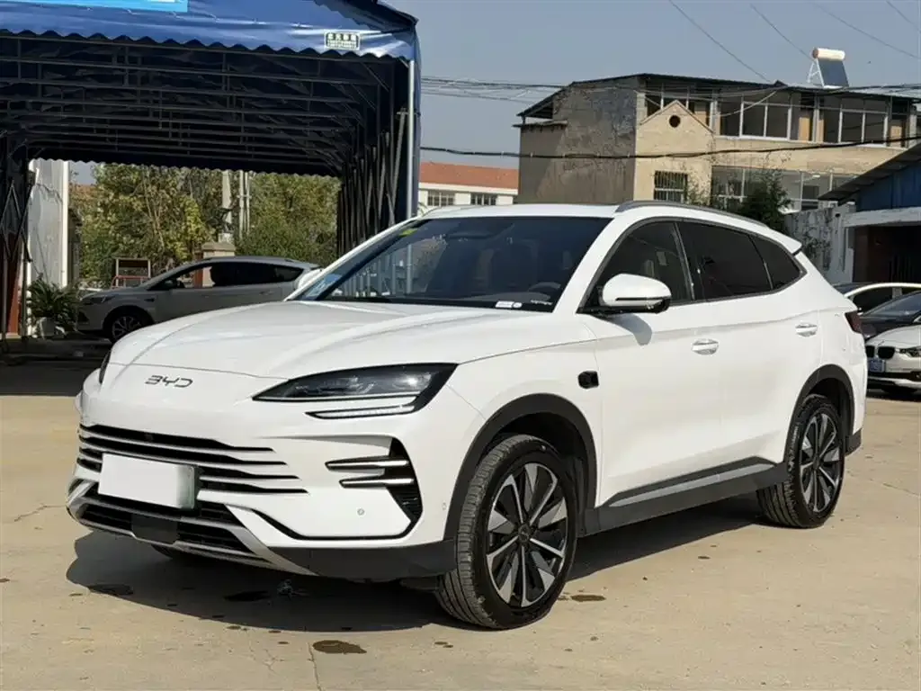 BYD PLUS New Energy 2025 из CN, фото 2