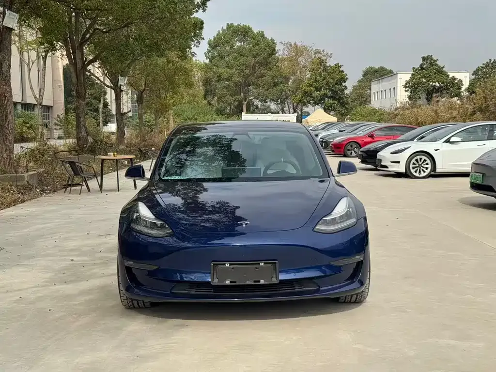 Tesla Model 3 2021 из CN, фото 3