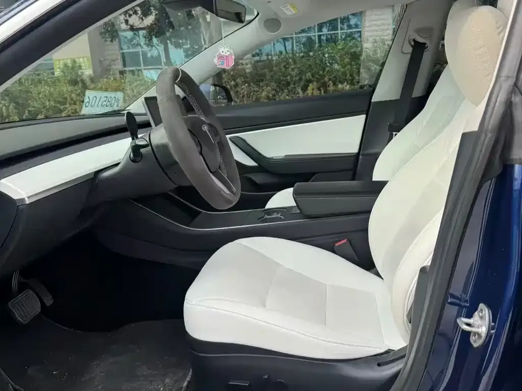 Tesla Model 3 2021 из CN, фото 4