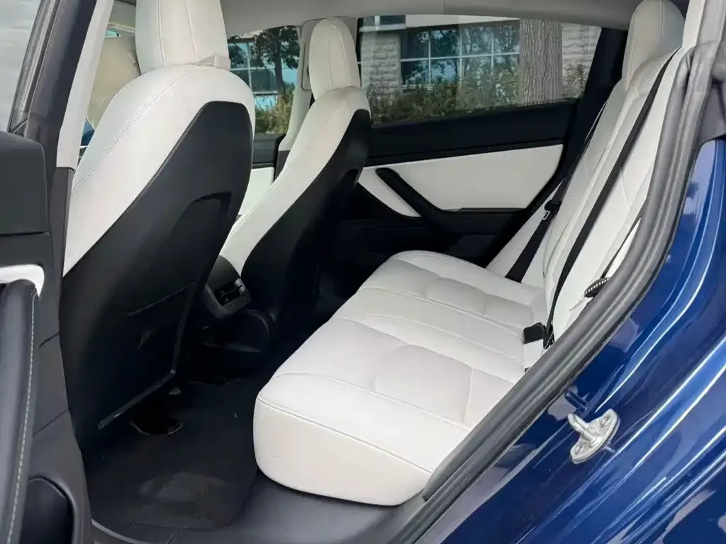Tesla Model 3 2021 из CN, фото 5