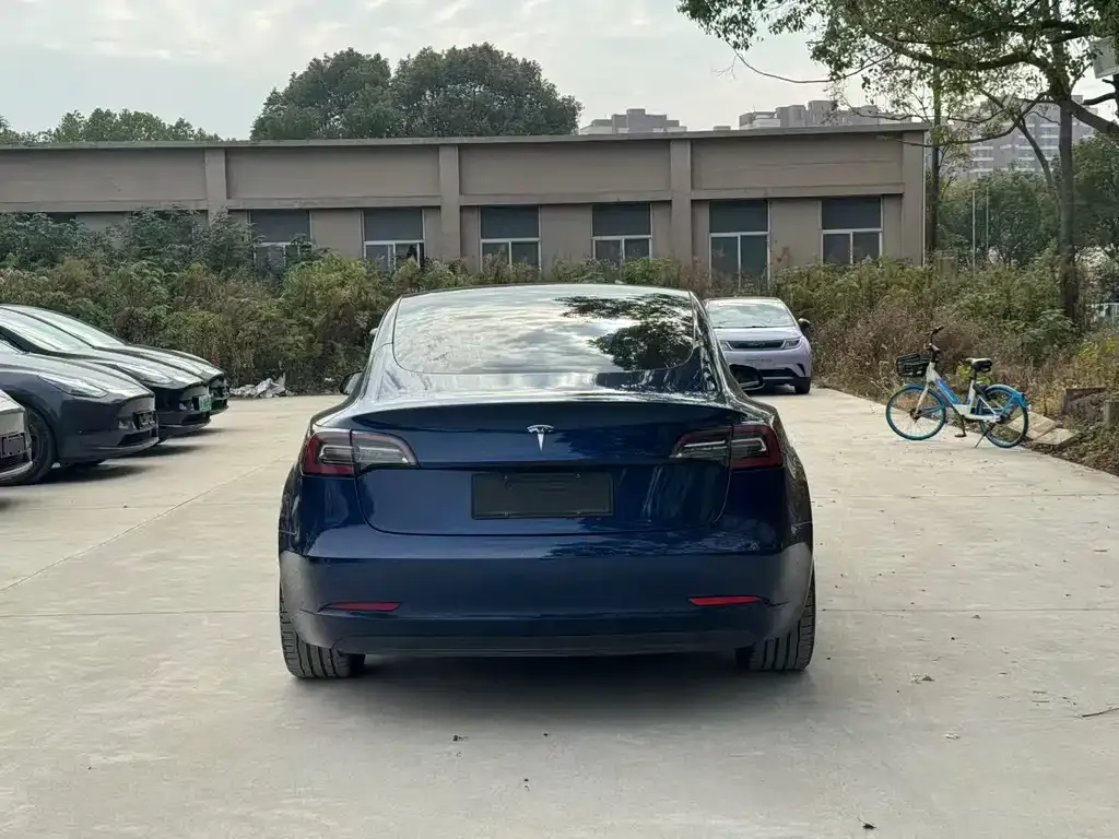 Tesla Model 3 2021 из CN, фото 8