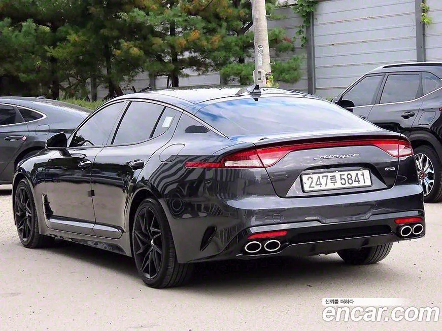 [object Object] Stinger 2021 из KR, фото 3